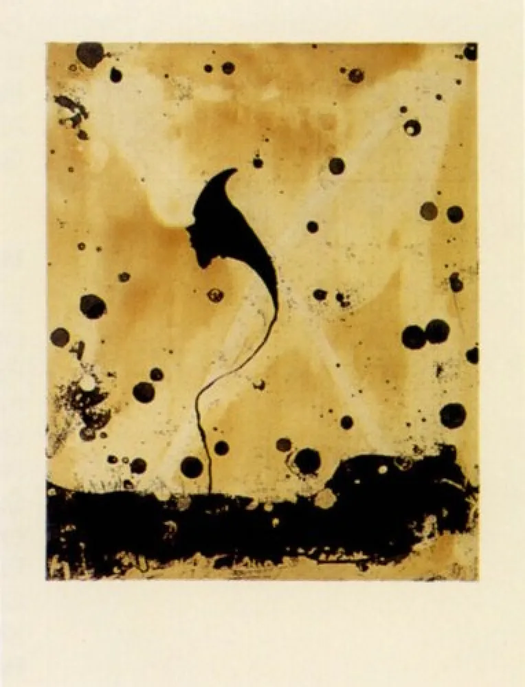 Gravura Santibañez - Flor