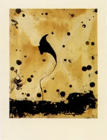 Gravura Santibañez - Flor