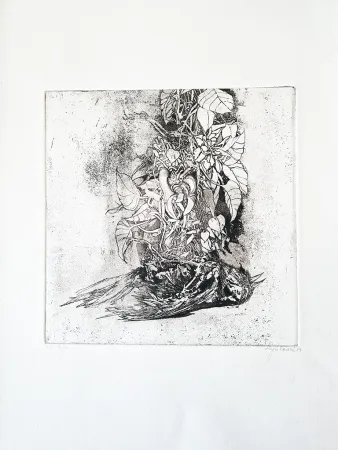 Livro Ilustrado Saroni - Sei incisioni all'acquaforte e all'acquatinta.