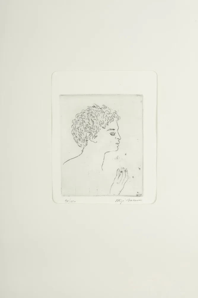 Ponta-Seca Sassu - Testa di Argonauta