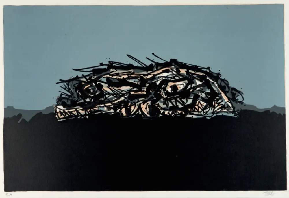 Litografia Saura - Retrato imaginario de Goya