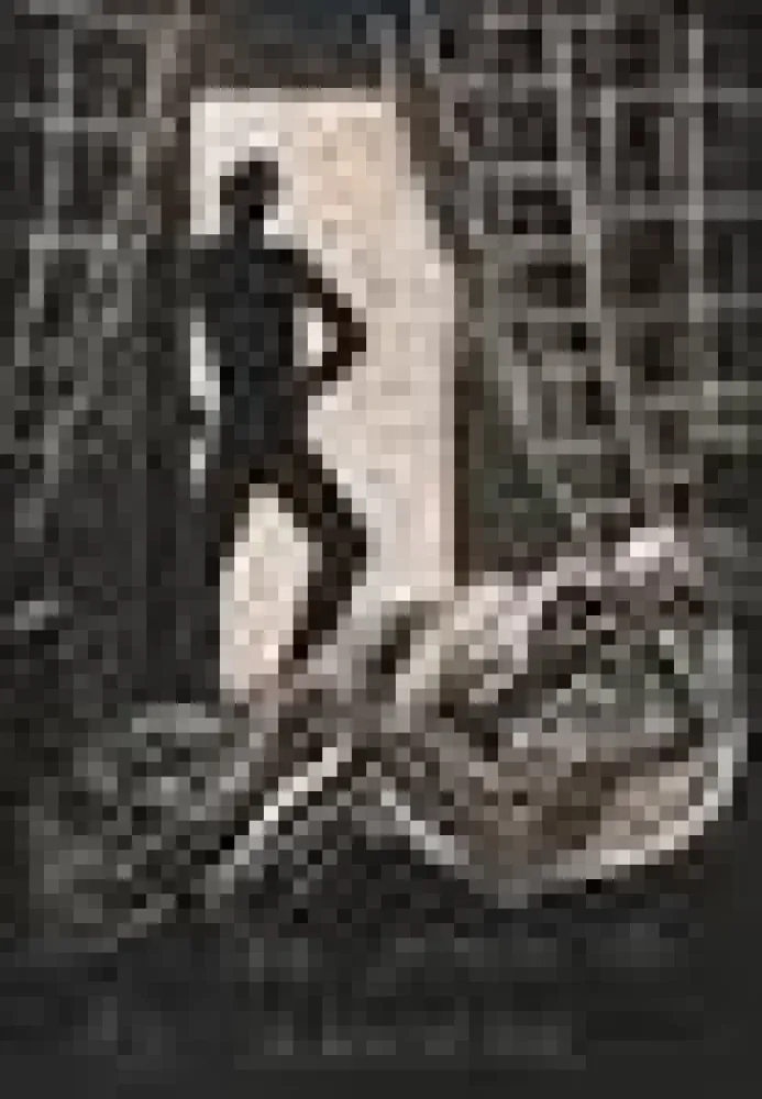 Livro Ilustrado Savin  - Sept vieilles chansons