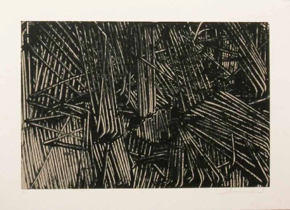 Litografia Scanavino - SENZA TITOLO