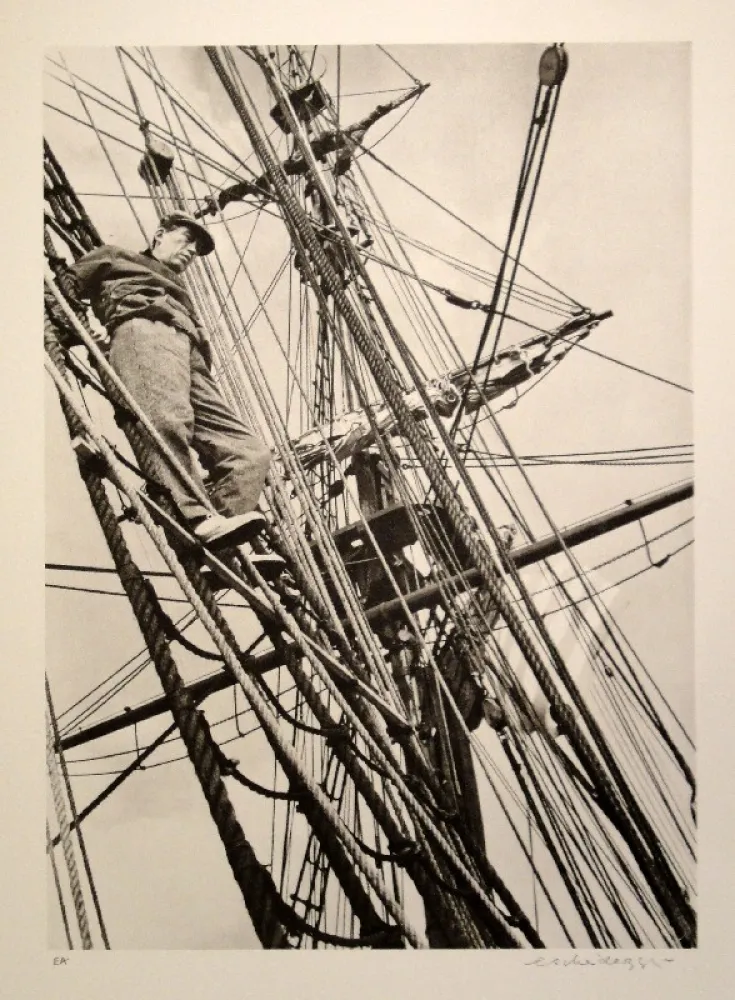 Sem Técnica Scheidegger - John Houston