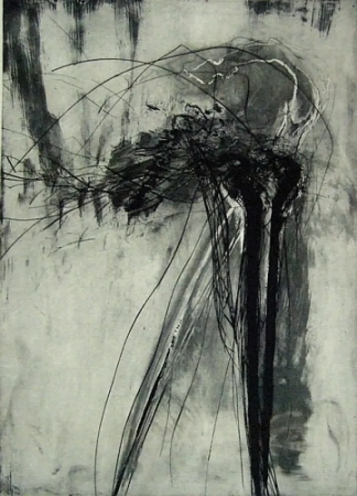 Ponta-Seca Schober - Richiamo