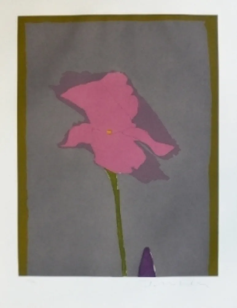 Gravura Scholder - Flower at Giverney 2