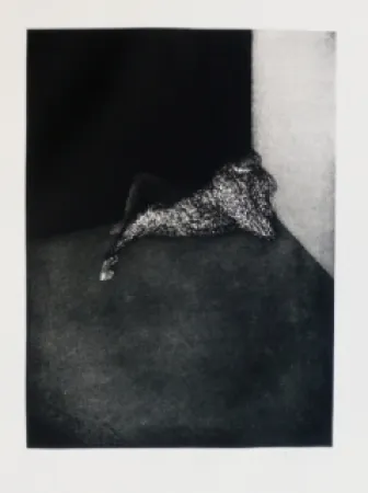 Gravura Scholder - Self Portrait in Barcelona