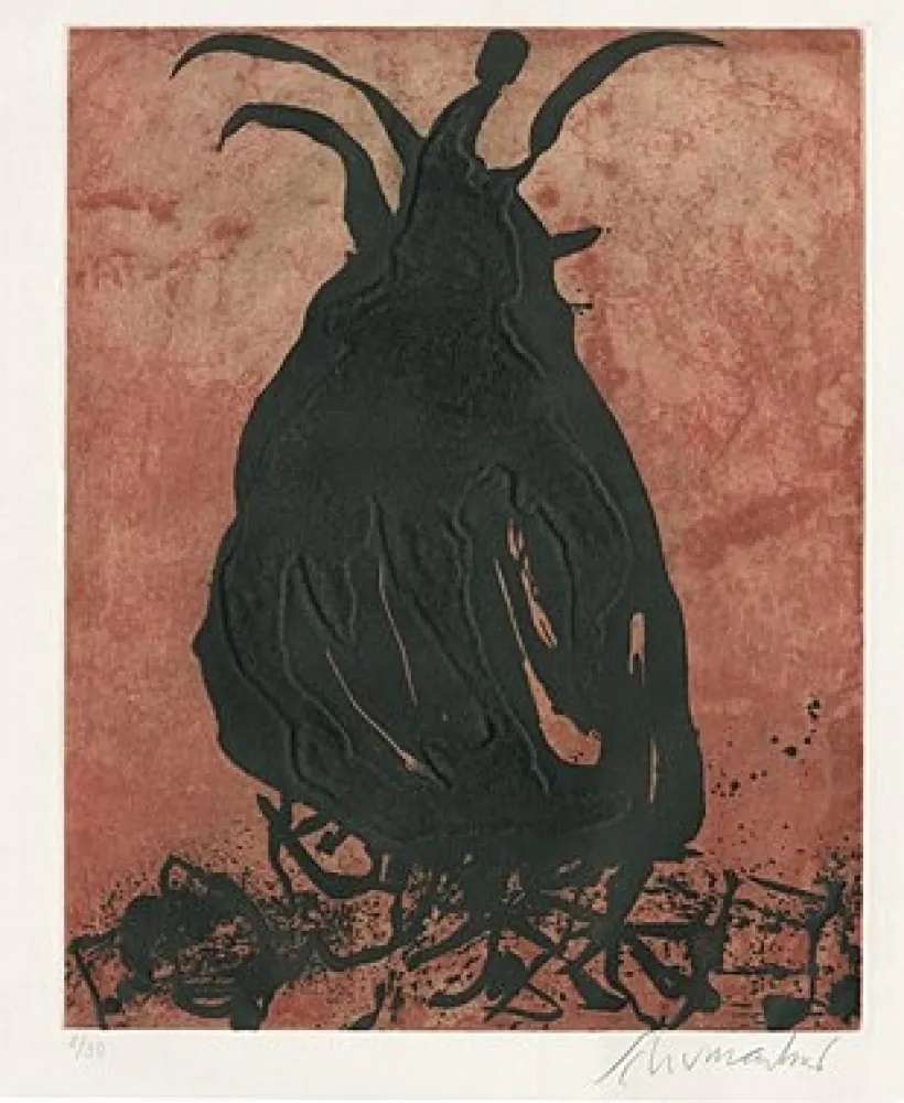 Água-Forte E Água-Tinta Schumacher - 