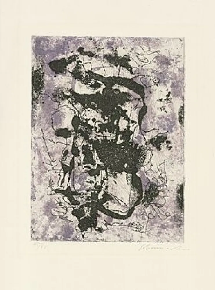 Sem Técnica Schumacher - 