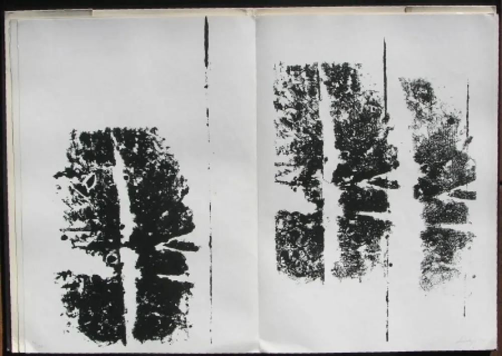 Livro Ilustrado Scialoja - Toti Scialoja. Quattro litografie