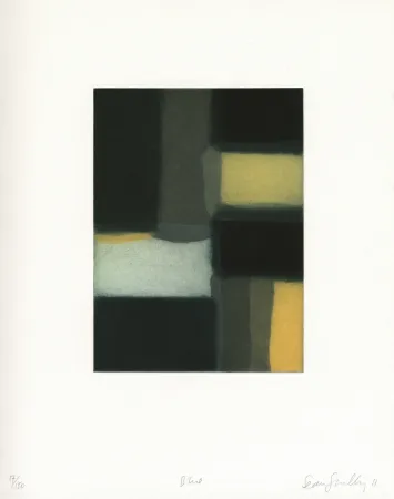 Água-Tinta Scully - 