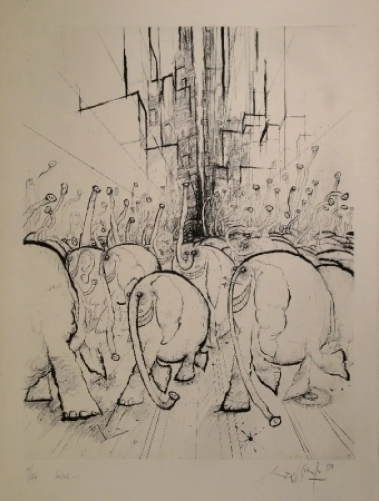 Água-Forte Searle - Festival