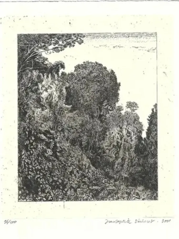 Gravura Sécheret - Le bois d 'acacias (2001)