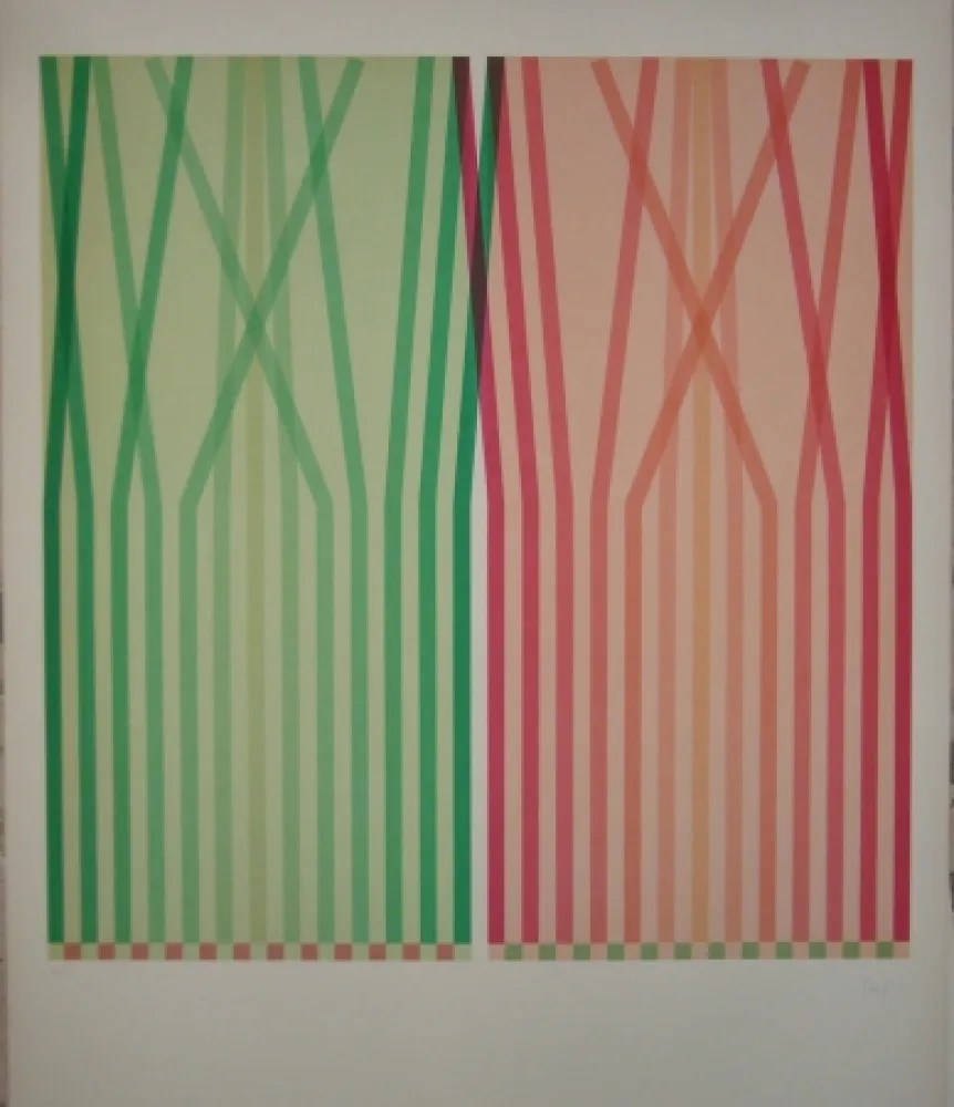 Litografia Sempere - Se2