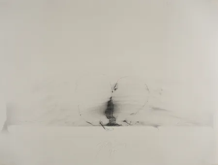 Sem Técnica Sensen - Mettnau 11.  Birnen-vaginal