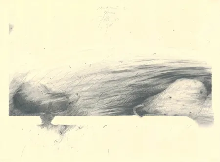 Sem Técnica Sensen - Mettnau 12 — 2 Birne