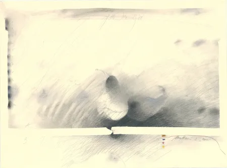 Sem Técnica Sensen - Mettnau 2 — Birne