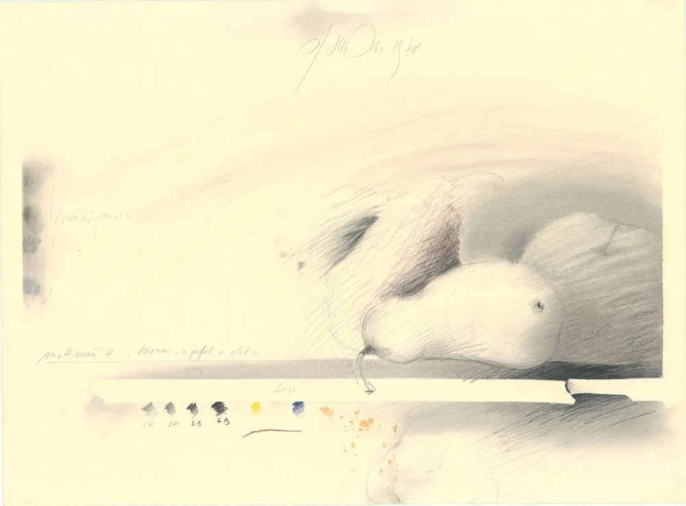 Sem Técnica Sensen - Mettnau 4—Birnen, Apfel + Akt