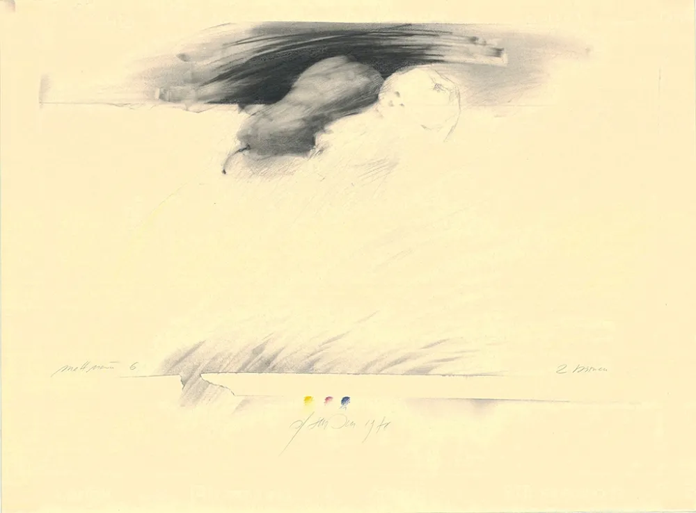 Sem Técnica Sensen - Mettnau 6— 2 Birnen