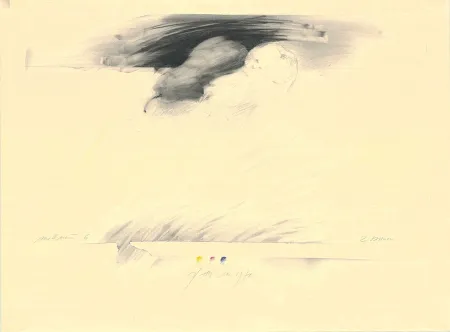 Sem Técnica Sensen - Mettnau 6— 2 Birnen