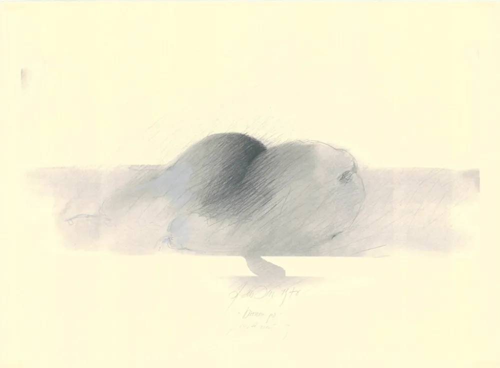 Sem Técnica Sensen - Mettnau 9.  Birnen po