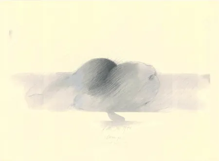 Sem Técnica Sensen - Mettnau 9.  Birnen po