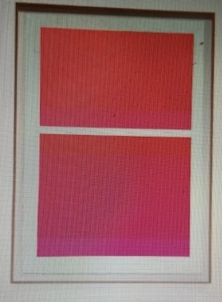 Serigrafia Shepherd - State Theater on Bikini Pink