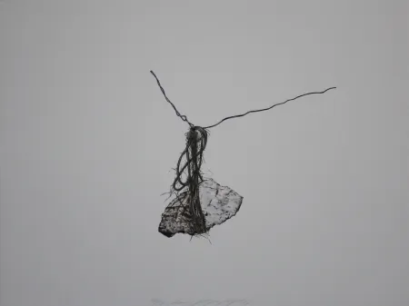 Litografia Siegert - Stein / Rock