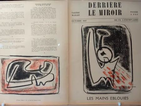 Livro Ilustrado Signovert - DLM no5