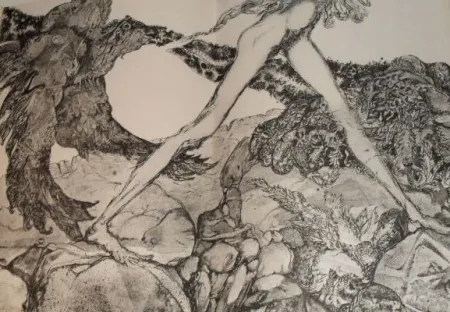 Livro Ilustrado Simon - Die Suchende / Celle qui cherche