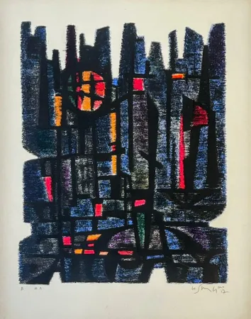 Litografia Singier - L'Appareil de Maître Gessner 