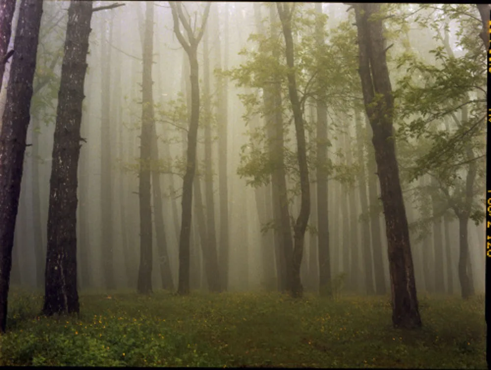 Fotografia Sitchinava - Upslope Fog in May 2
