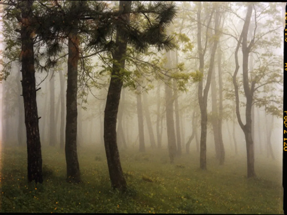 Fotografia Sitchinava - Upslope Fog in May 3