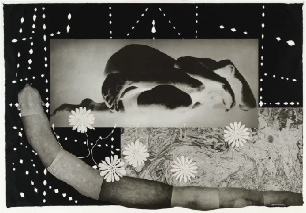 Gravura Smith - Worm