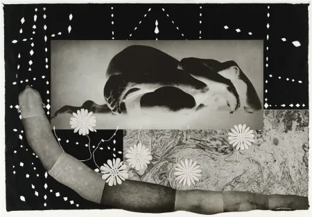 Gravura Smith - Worm