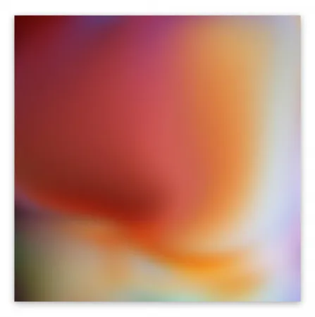 Fotografia Snell - Bleed # 202009