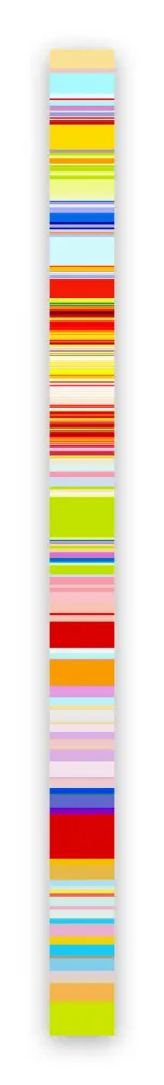 Fotografia Snell - Lumina # 201601