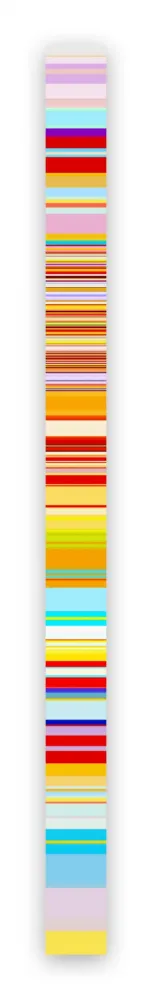 Fotografia Snell - Lumina # 201603