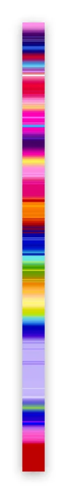 Fotografia Snell - Lumina # 202102