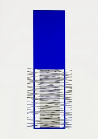 Serigrafia Soto - Caroni (Blue) 