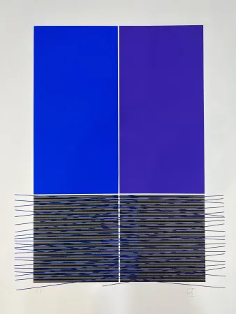 Serigrafia Soto - Composition