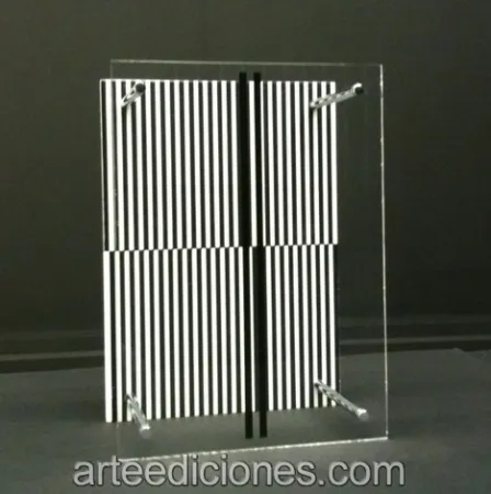 Sem Técnica Soto - Museo Moltiplicato / Permutation