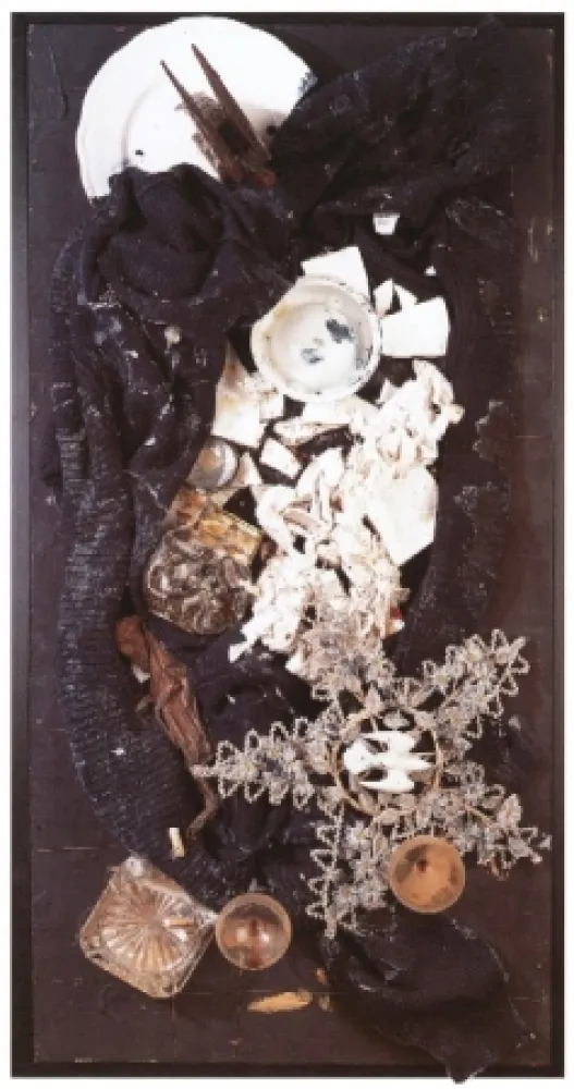 Sem Técnica Spoerri - Büsser-Jacke als Vogelfrass