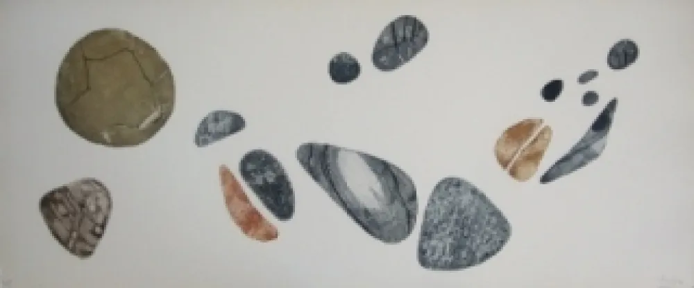 Água-Forte E Água-Tinta Springer - Galets