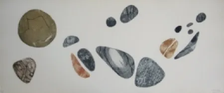 Água-Forte E Água-Tinta Springer - Galets