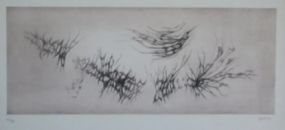 Água-Forte E Água-Tinta Springer - Racines