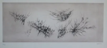 Água-Forte E Água-Tinta Springer - Racines