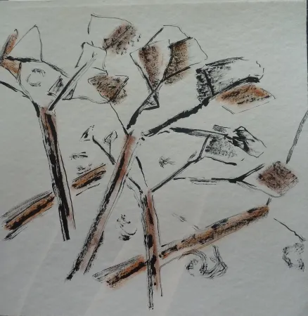 Sem Técnica Spronken - Untitled