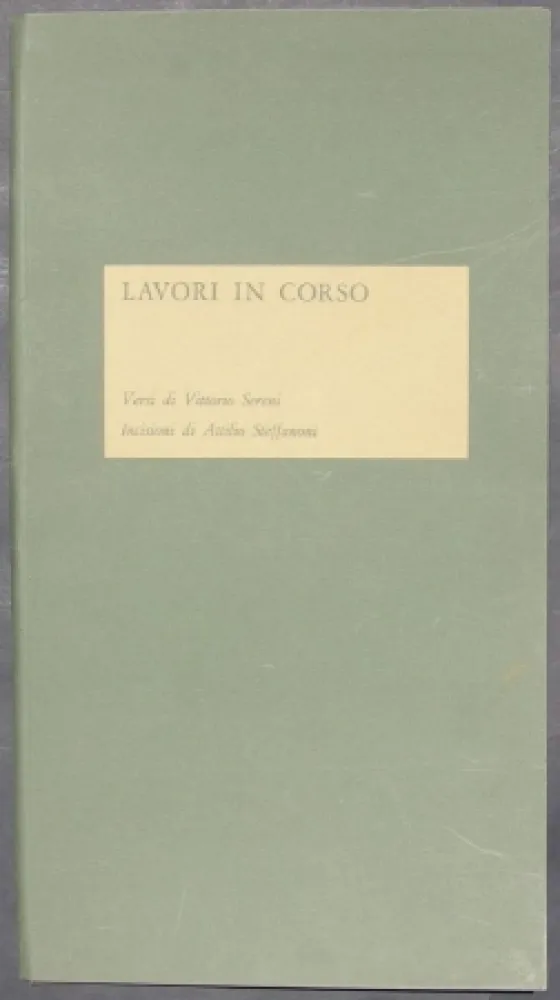 Livro Ilustrado Steffanoni - Lavori in corso