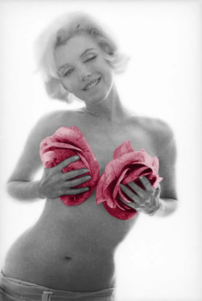 Fotografia Stern - Marilyn Pink Roses Large